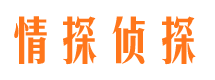 大新出轨调查